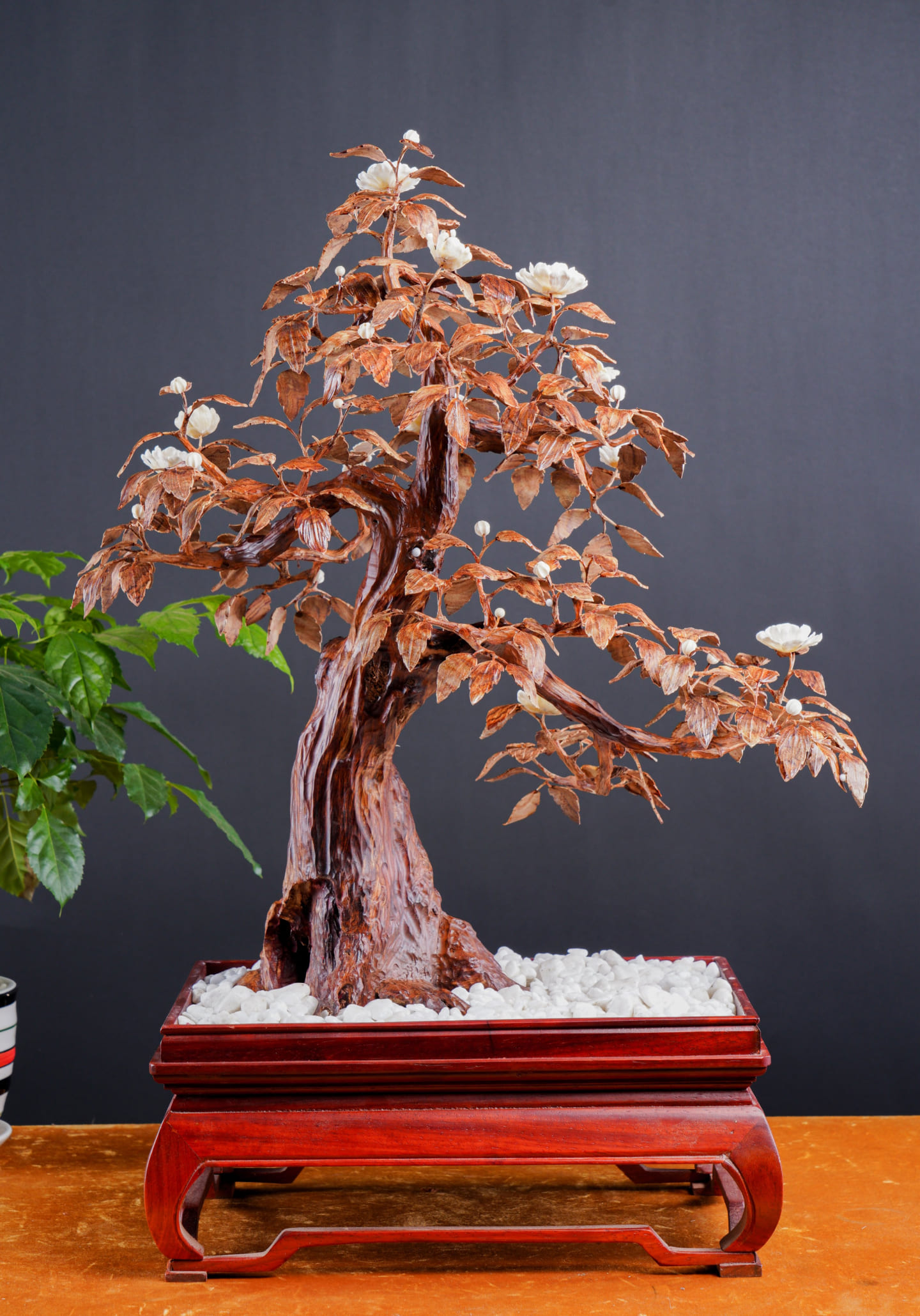 Đồ gỗ đẹp Liên Hà-Cây sưa