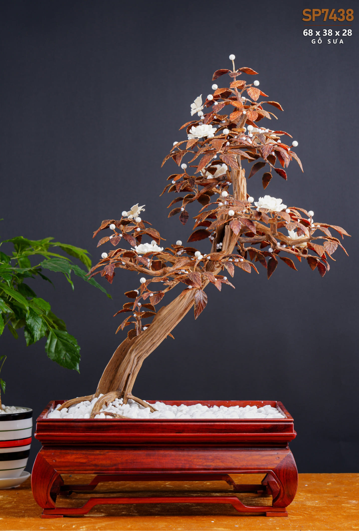 Đồ gỗ đẹp Liên Hà-Chậu cây hoàng đàn